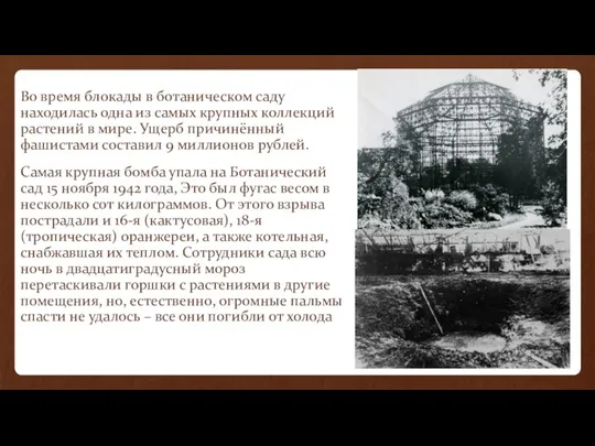 Во время блокады в ботаническом саду находилась одна из самых