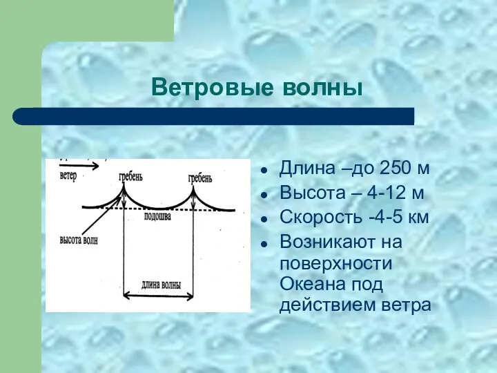 Ветровые волны Длина –до 250 м Высота – 4-12 м