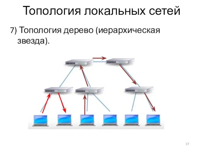 Топология локальных сетей 7) Топология дерево (иерархическая звезда).