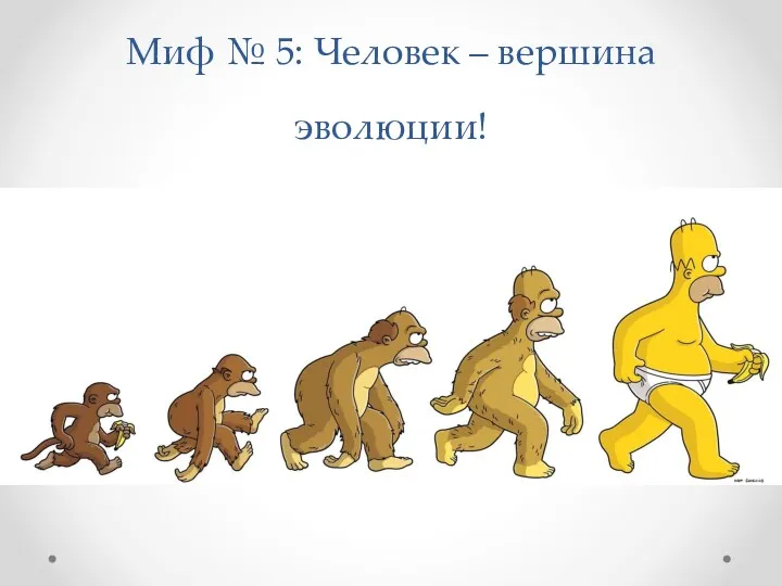 Миф № 5: Человек – вершина эволюции!