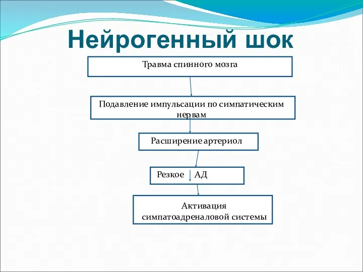 Нейрогенный шок Травма спинного мозга Подавление импульсации по симпатическим нервам