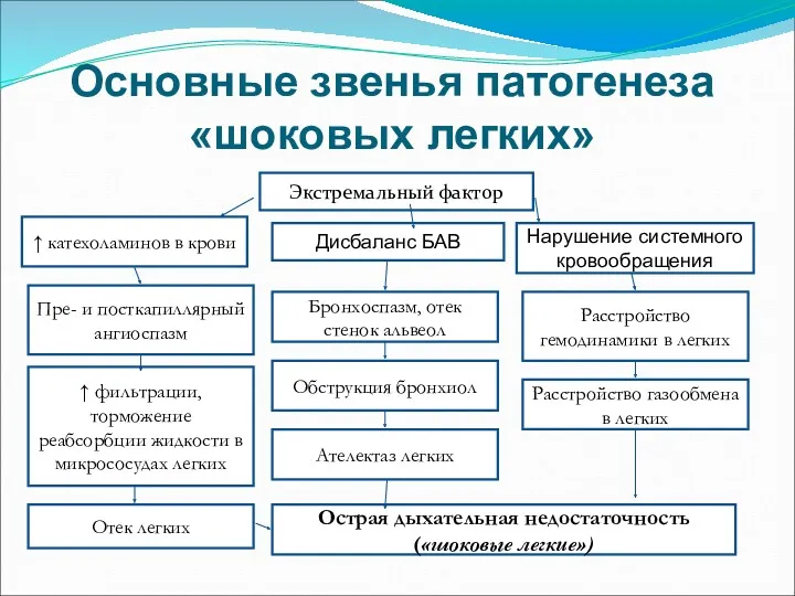 Основные звенья патогенеза «шоковых легких» Экстремальный фактор ↑ катехоламинов в