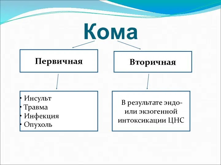 Кома Первичная Инсульт Травма Инфекция Опухоль Вторичная В результате эндо- или экзогенной интоксикации ЦНС