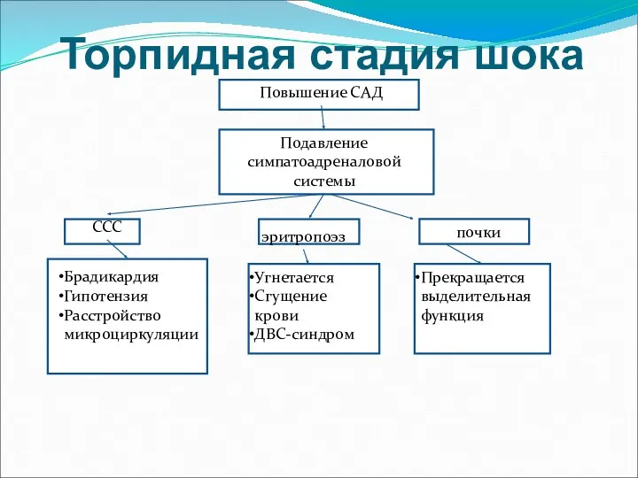 Торпидная стадия шока Повышение САД Подавление симпатоадреналовой системы ССС Брадикардия