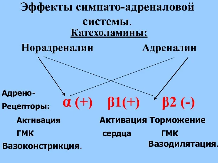 Эффекты симпато-адреналовой системы. Катехоламины: Норадреналин Адреналин α (+) β1(+) β2