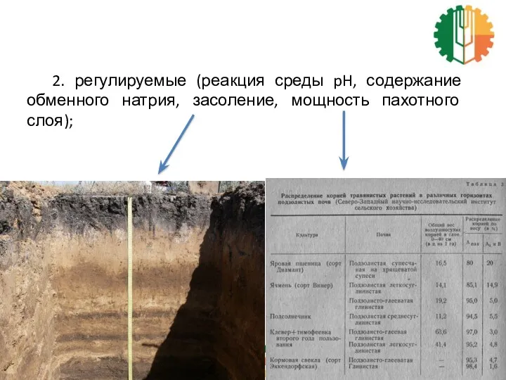 2. регулируемые (реакция среды pH, содержание обменного натрия, засоление, мощность пахотного слоя);