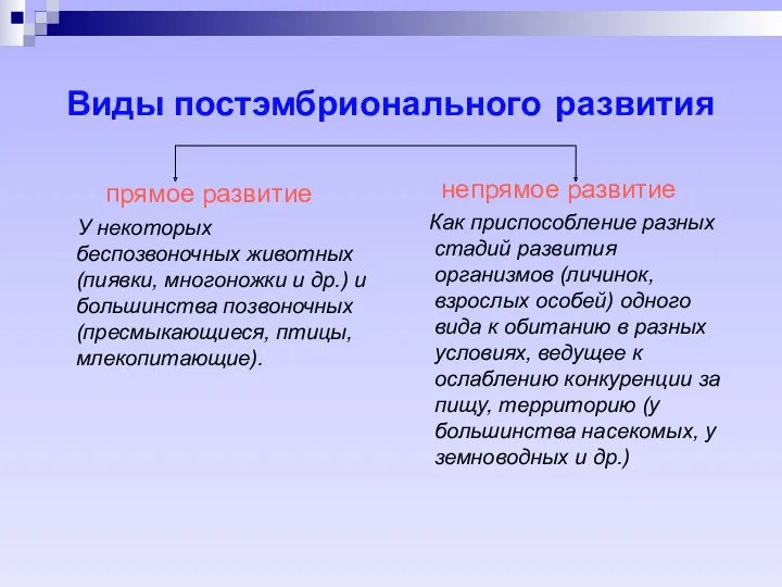 Виды постэмбрионального развития прямое развитие У некоторых беспозвоночных животных (пиявки,