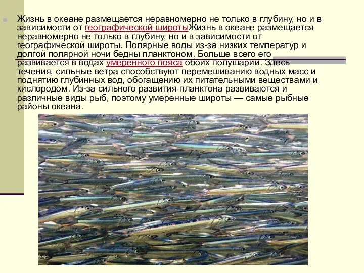 Жизнь в океане размещается неравномерно не только в глубину, но