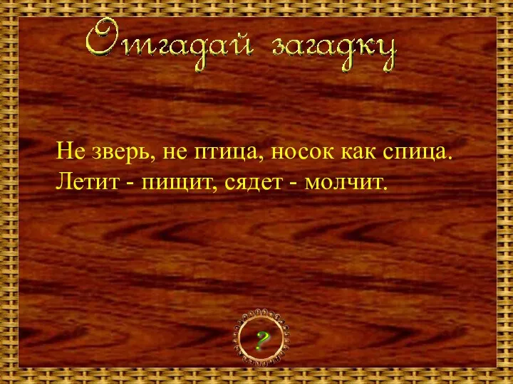 Не зверь, не птица, носок как спица. Летит - пищит, сядет - молчит. ?