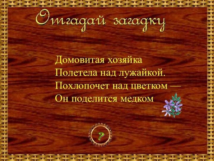 Домовитая хозяйка Полетела над лужайкой. Похлопочет над цветком — Он поделится медком ?