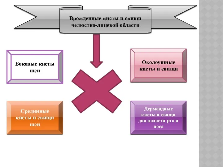 Врожденные кисты и свищи челюстно-лицевой области Боковые кисты шеи Околоушные