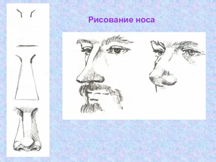 Рисование носа