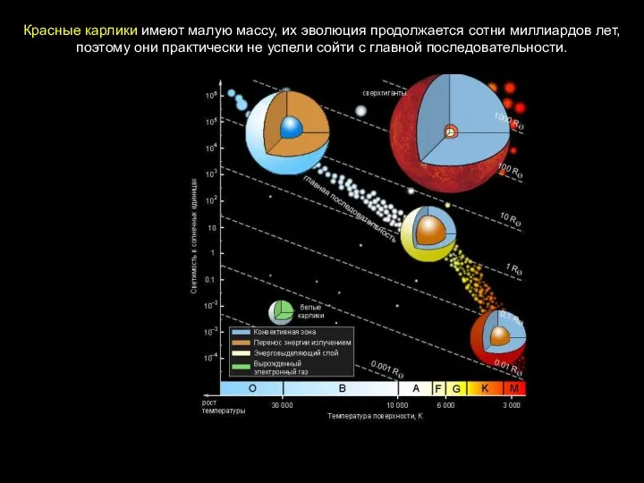 Красные карлики имеют малую массу, их эволюция продолжается сотни миллиардов