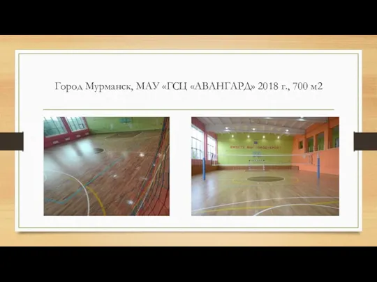 Город Мурманск, МАУ «ГСЦ «АВАНГАРД» 2018 г., 700 м2 .