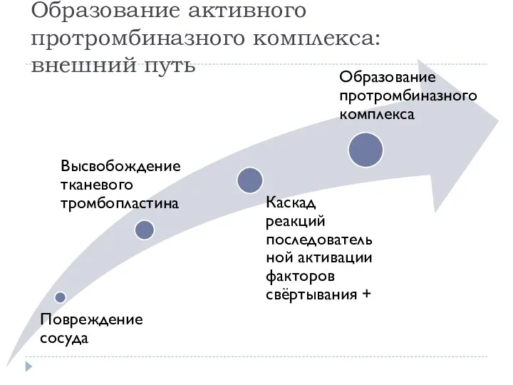 Образование активного протромбиназного комплекса: внешний путь