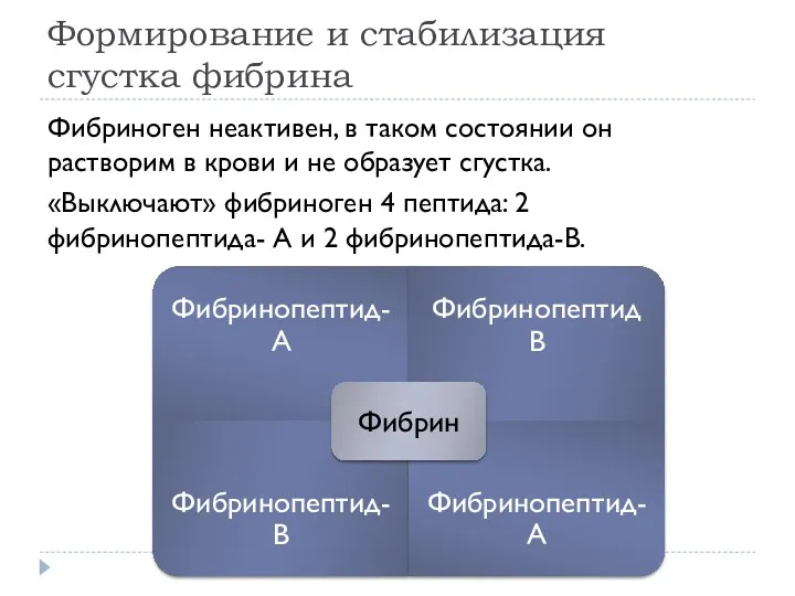 Формирование и стабилизация сгустка фибрина Фибриноген неактивен, в таком состоянии