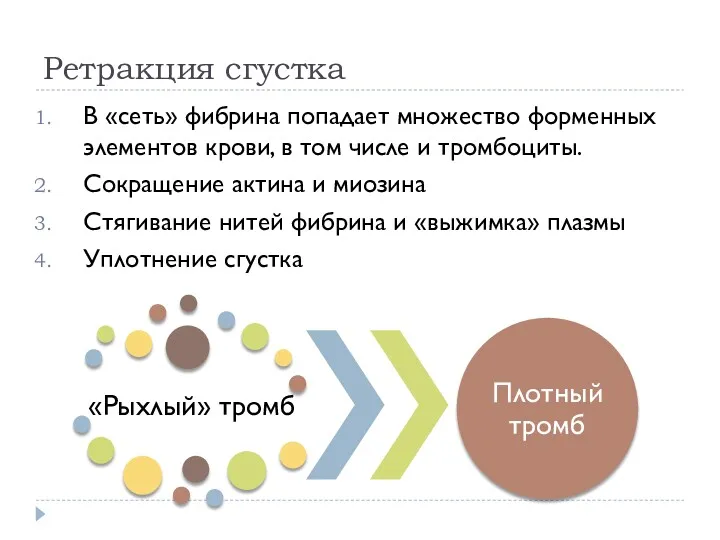 Ретракция сгустка В «сеть» фибрина попадает множество форменных элементов крови,