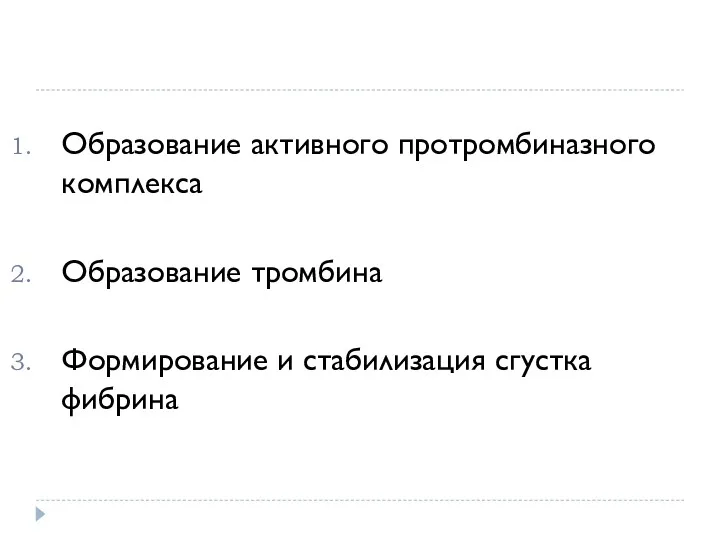 Образование активного протромбиназного комплекса Образование тромбина Формирование и стабилизация сгустка фибрина