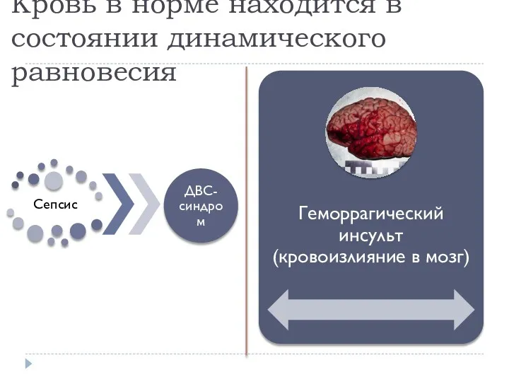 Кровь в норме находится в состоянии динамического равновесия