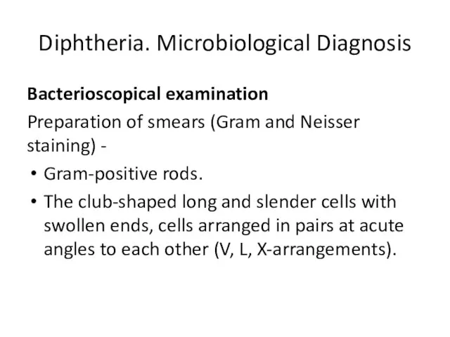 Diphtheria. Microbiological Diagnosis Bacterioscopical examination Preparation of smears (Gram and