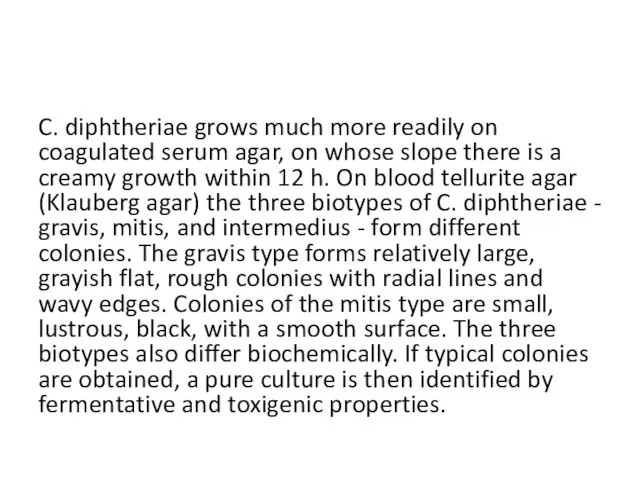 C. diphtheriae grows much more readily on coagulated serum agar,