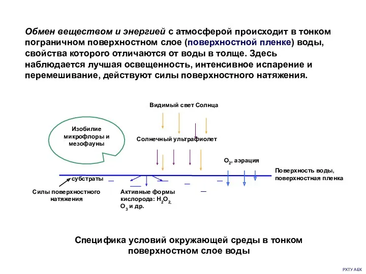 РХТУ АЕК Специфика условий окружающей среды в тонком поверхностном слое