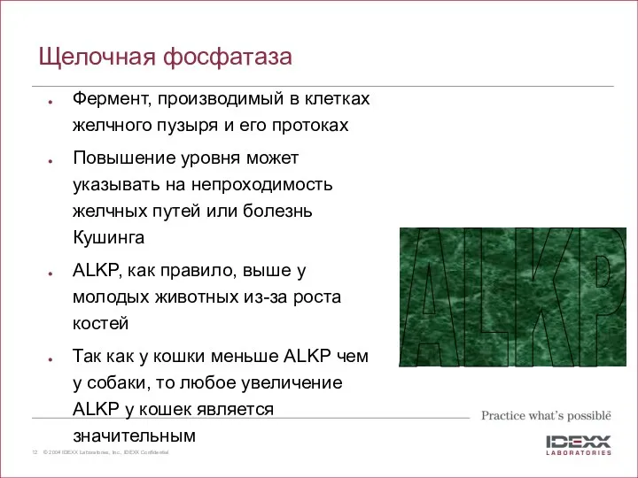 Щелочная фосфатаза Фермент, производимый в клетках желчного пузыря и его