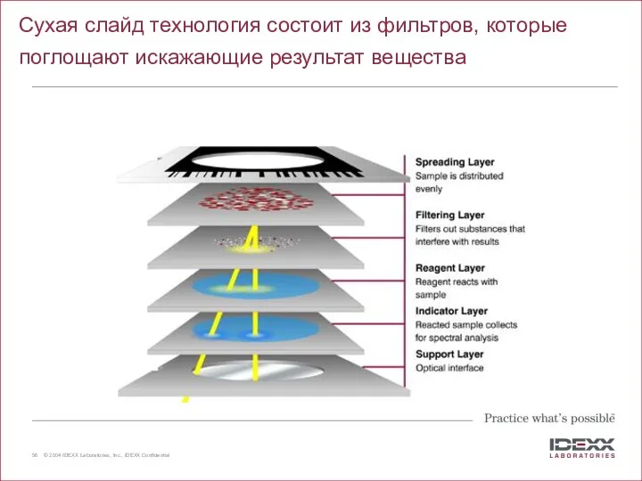 Сухая слайд технология состоит из фильтров, которые поглощают искажающие результат вещества Why IDEXX VetTest?