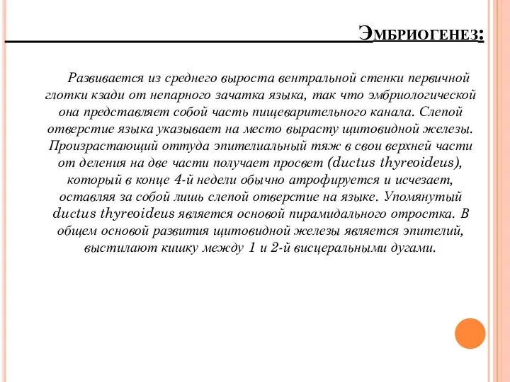 Эмбриогенез: Развивается из среднего выроста вентральной стенки первичной глотки кзади