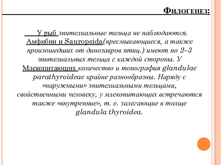 У рыб эпителиальные тельца не наблюдаются. Амфибии и Sauropsida(пресмыкающиеся, а