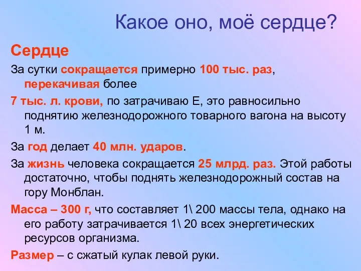 Какое оно, моё сердце? Сердце За сутки сокращается примерно 100