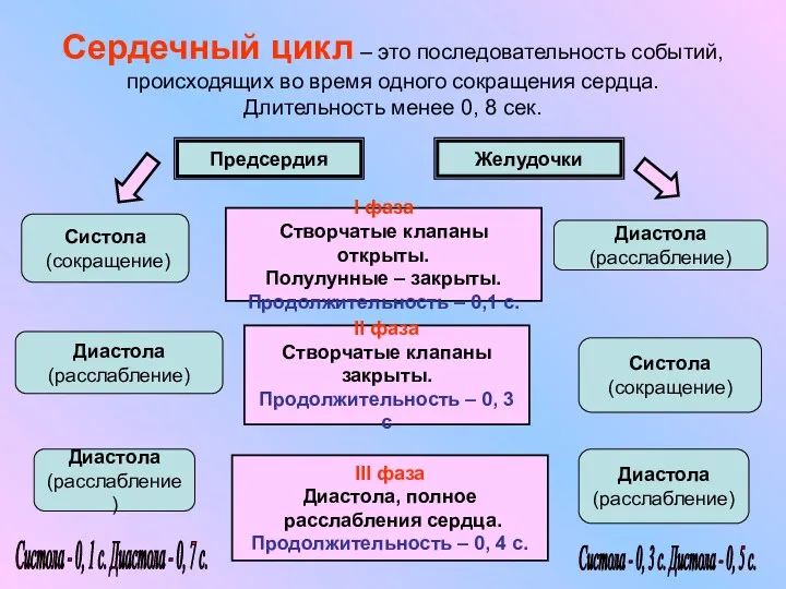 Сердечный цикл – это последовательность событий, происходящих во время одного