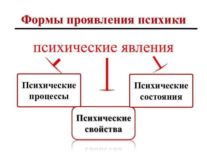 Формы проявления психики психические явления Психические процессы Психические состояния