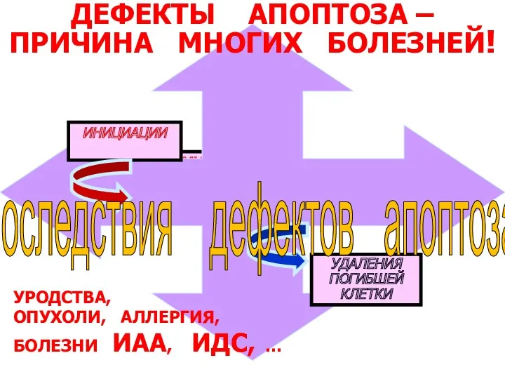 ПРОГРАММИРОВАНИЯ ДЕФЕКТЫ АПОПТОЗА – ПРИЧИНА МНОГИХ БОЛЕЗНЕЙ! ИНИЦИАЦИИ УДАЛЕНИЯ ПОГИБШЕЙ