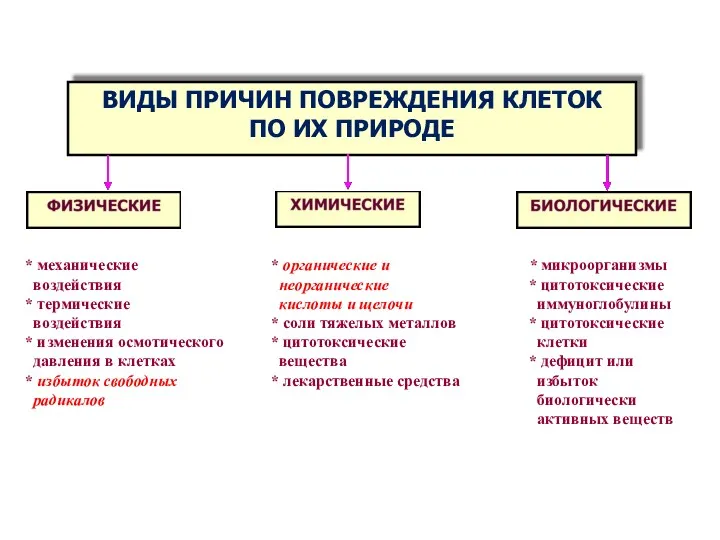 * механические воздействия * термические воздействия * изменения осмотического давления