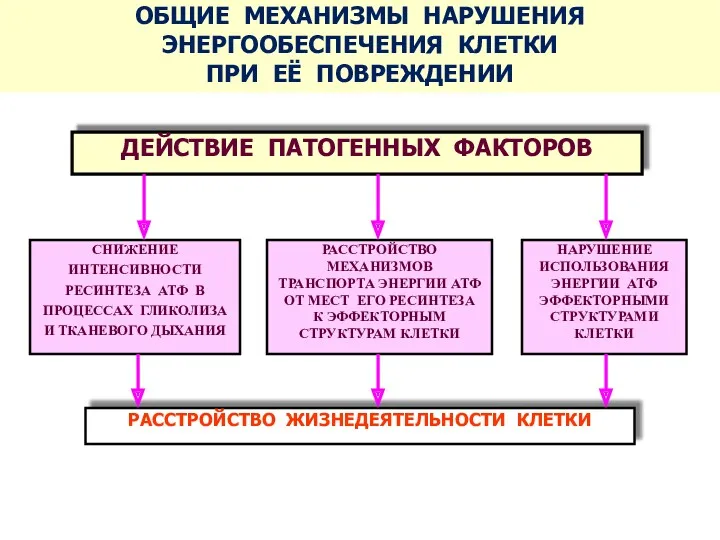 ДЕЙСТВИЕ ПАТОГЕННЫХ ФАКТОРОВ РАССТРОЙСТВО ЖИЗНЕДЕЯТЕЛЬНОСТИ КЛЕТКИ ОБЩИЕ МЕХАНИЗМЫ НАРУШЕНИЯ ЭНЕРГООБЕСПЕЧЕНИЯ КЛЕТКИ ПРИ ЕЁ ПОВРЕЖДЕНИИ