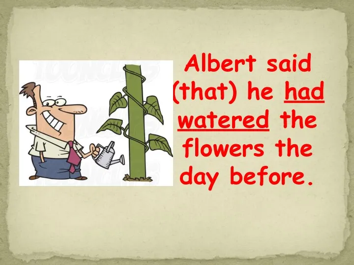 Albert said (that) he had watered the flowers the day before.