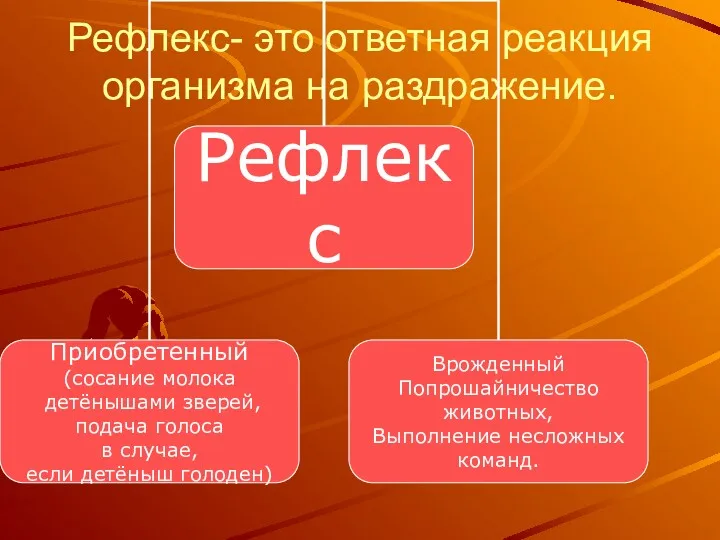 Рефлекс- это ответная реакция организма на раздражение.