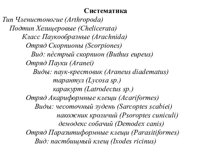 Систематика Тип Членистоногие (Arthropoda) Подтип Хелицеровые (Chelicerata) Класс Паукообразные (Arachnida)