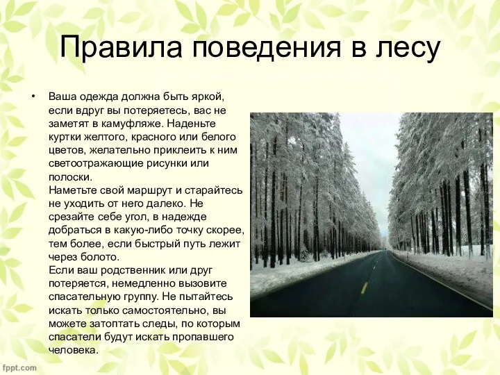 Правила поведения в лесу Ваша одежда должна быть яркой, если