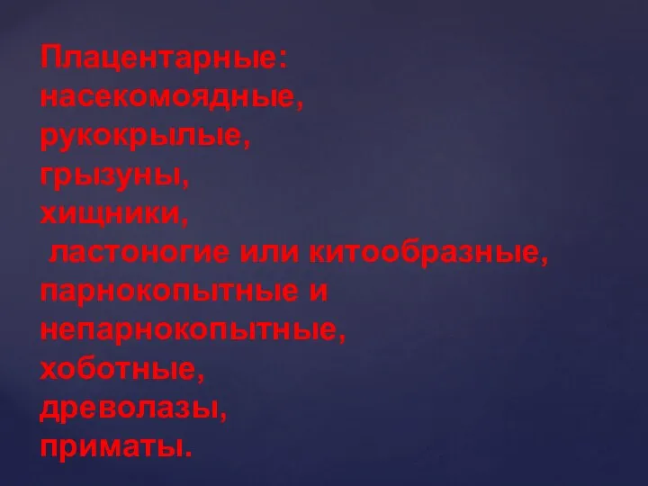 Плацентарные: насекомоядные, рукокрылые, грызуны, хищники, ластоногие или китообразные, парнокопытные и непарнокопытные, хоботные, древолазы, приматы.