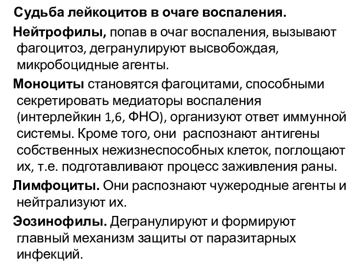 Судьба лейкоцитов в очаге воспаления. Нейтрофилы, попав в очаг воспаления,