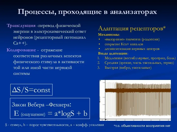 Процессы, проходящие в анализаторах Трансдукция -перевод физической энергии в электрохимический