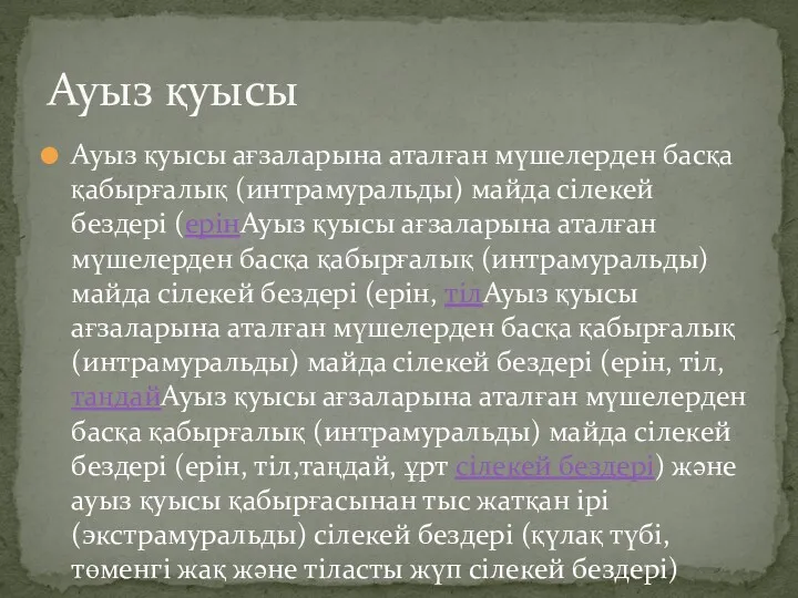 Ауыз қуысы ағзаларына аталған мүшелерден басқа қабырғалық (интрамуральды) майда сілекей