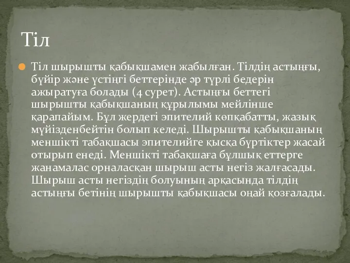 Тіл шырышты қабықшамен жабылған. Тілдің астыңғы, бүйір және үстіңгі беттерінде әр түрлі бедерін