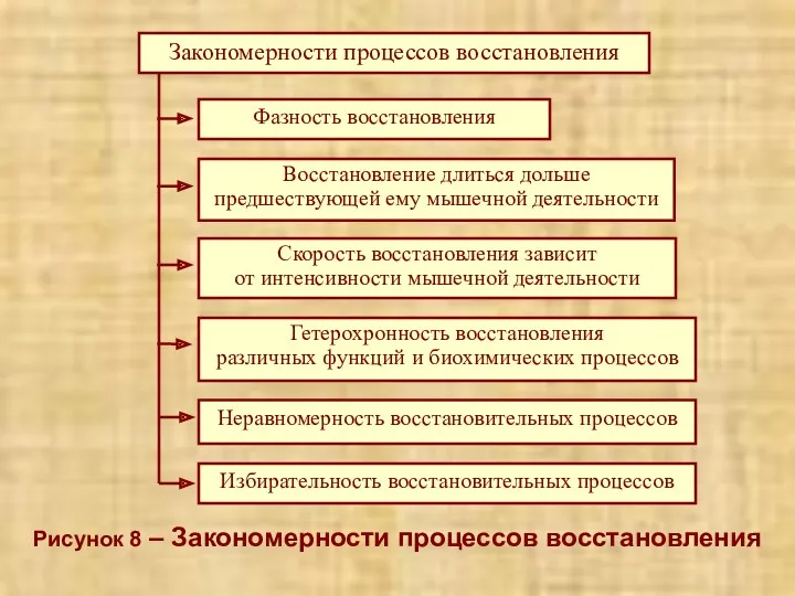 Рисунок 8 – Закономерности процессов восстановления