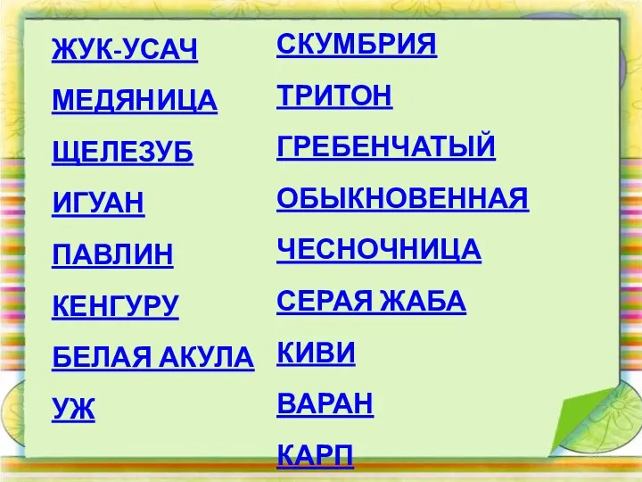 ЖУК-УСАЧ МЕДЯНИЦА ЩЕЛЕЗУБ ИГУАН ПАВЛИН КЕНГУРУ БЕЛАЯ АКУЛА УЖ СКУМБРИЯ