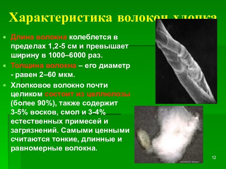 Характеристика волокон хлопка Длина волокна колеблется в пределах 1,2-5 см