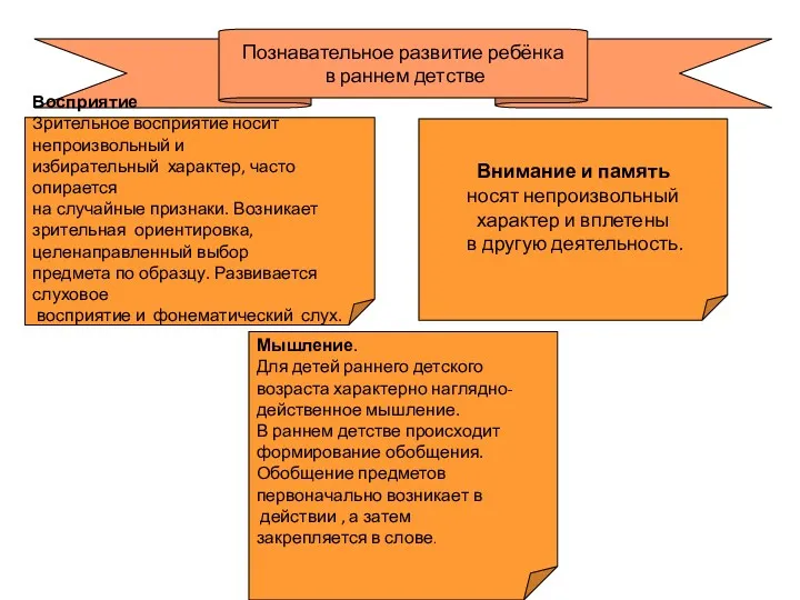 Познавательное развитие ребёнка в раннем детстве Восприятие Зрительное восприятие носит