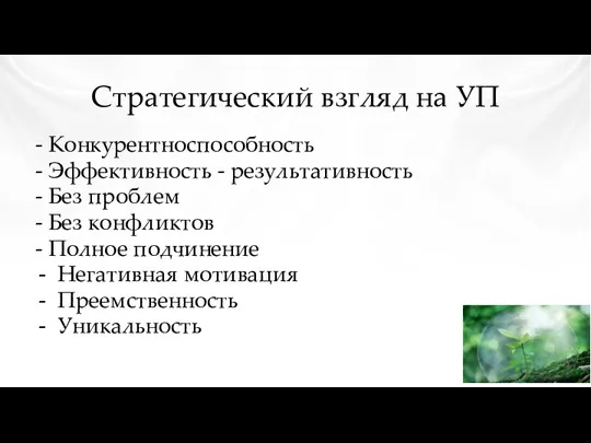 Стратегический взгляд на УП - Конкурентноспособность - Эффективность - результативность